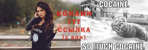 стафф Бронницы