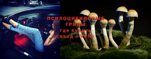 стафф Бронницы