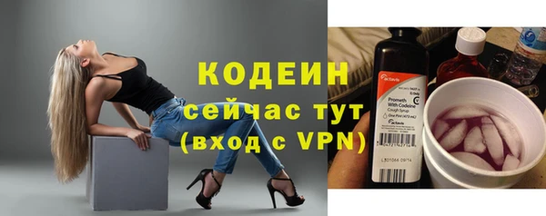 стафф Бронницы