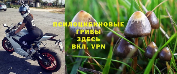 трава Бугульма