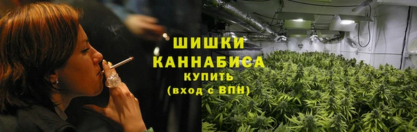 стафф Бронницы