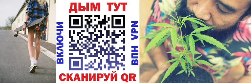 где купить наркоту  Ревда  Бошки Шишки сатива 